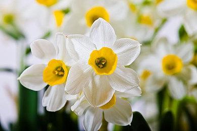 《狂野之心》在PS5和XS开启免费试玩 最长10个小时